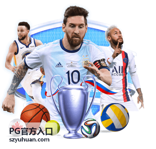 PG官方入口登录方式与验证信息核对示意