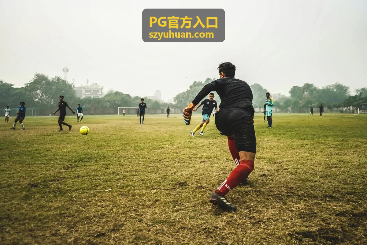 PG官方入口账号安全与流程支持配图
