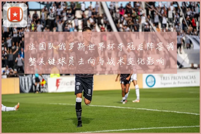 法国队俄罗斯世界杯夺冠后阵容调整关键球员去向与战术变化影响