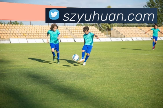 熊猫体育(中国版权)官方网站 - 最全赛事直播平台平台生态图